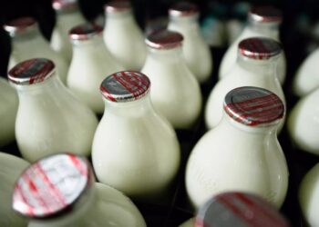 Почему советские власти хотели запретить безобидный кефир