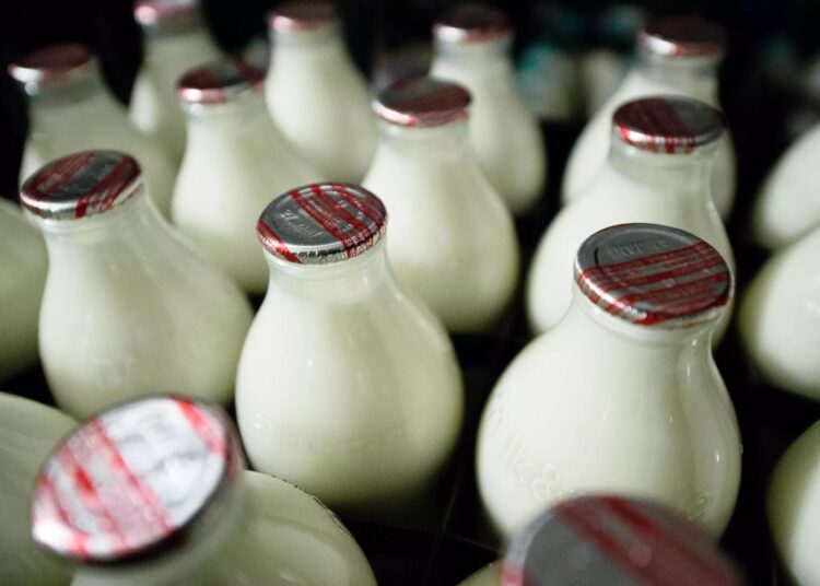 Почему советские власти хотели запретить безобидный кефир