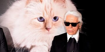 Как живет кошка-наследница миллионов модельера Лагерфельда