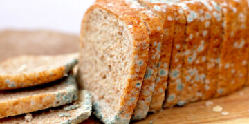 Что случится, если съесть плесневелый продукт