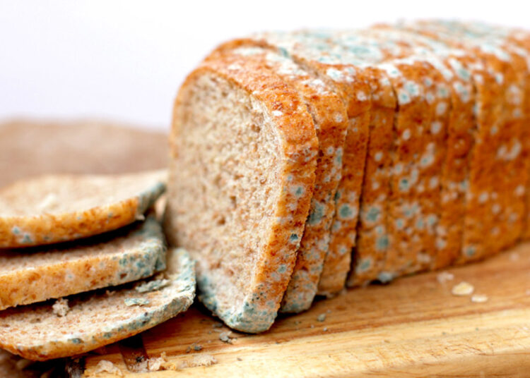 Что случится, если съесть плесневелый продукт