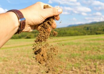 Зачем на похоронах все кидают по горсти земли в могилу