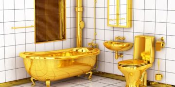 Ни в коем случае не держите открытой крышку унитаза, и вот почему