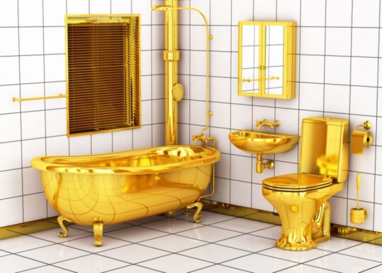 Ни в коем случае не держите открытой крышку унитаза, и вот почему