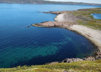 Озеро Могильное: страшная история водоема