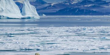 Как женская туфелька попала на Северный полюс: история из 1930-х годов