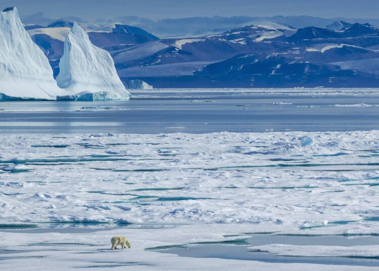 Как женская туфелька попала на Северный полюс: история из 1930-х годов