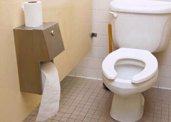 Зачем нужен вырез спереди на сиденье унитаза