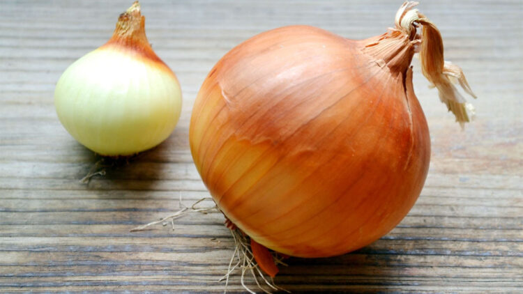 Зачем некоторые люди кладут лук под подушку