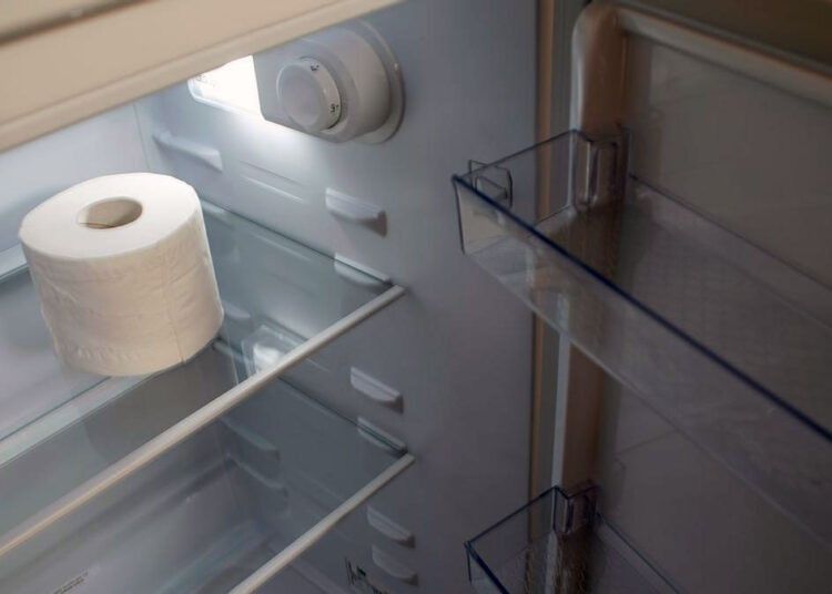 Положите туалетную бумагу в холодильник и решите сразу две проблемы
