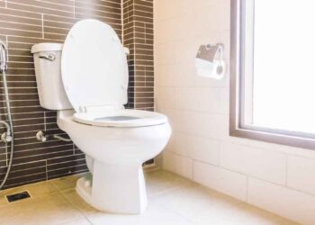 Почему опытная хозяйка высыпает в унитаз стакан соли