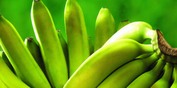 Как «доспеть» зеленые бананы за 20 минут