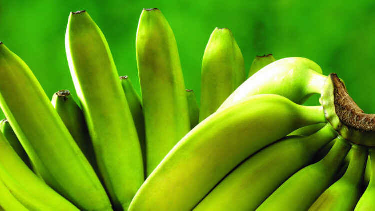 Как «доспеть» зеленые бананы за 20 минут