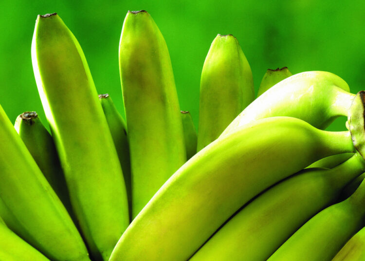 Как «доспеть» зеленые бананы за 20 минут