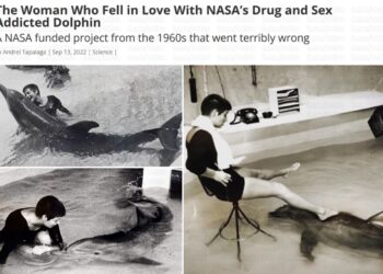 Жесточайший эксперимент NASA: дельфин умер после интимной связи с женщиной