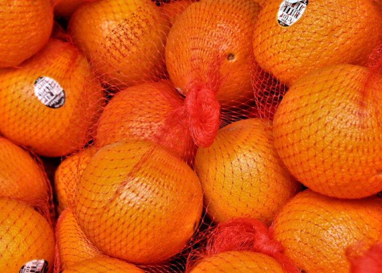 Апельсины в красной сетке: неожиданное объяснение хитрой уловки супермаркетов