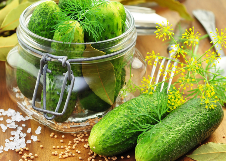 Соленые огурчики — путь к здоровью