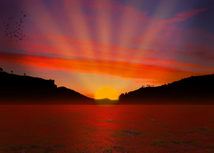 Почему мусульмане хоронят своих покойников в день смерти и до захода солнца