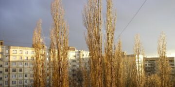 Какие народы не призывали в армии Российской империи и СССР