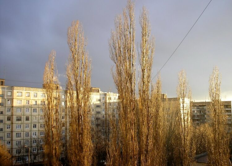 Какие народы не призывали в армии Российской империи и СССР