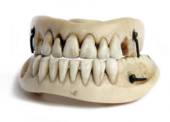 Зачем богачи вставляли зубы покойников, погибших в битве при Ватерлоо