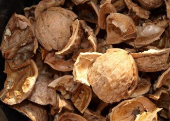 Для чего автомастерские скупают скорлупу от грецких орехов: что за секрет такой