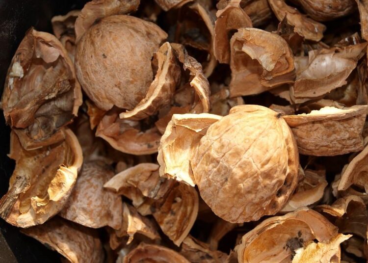 Для чего автомастерские скупают скорлупу от грецких орехов: что за секрет такой