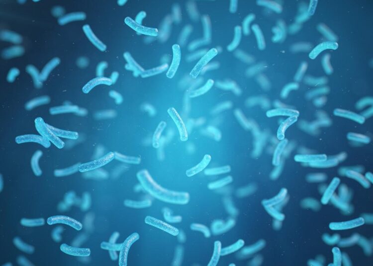 Понедельник не для мытья: почему наши предки так считали