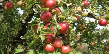 Какую одежду и обувь не носят настоящие мусульмане