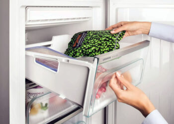 Вечно не получится: о сроке хранения продуктов в морозилке