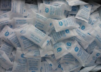 Пьют кровь оленя: как еще выживают чукчи при минус 50