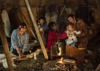 Пьют кровь оленя: как еще выживают чукчи при минус 50