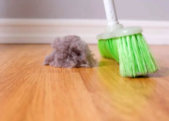 Из чего состоит домашняя пыль: вы будете неприятно удивлены. Фото