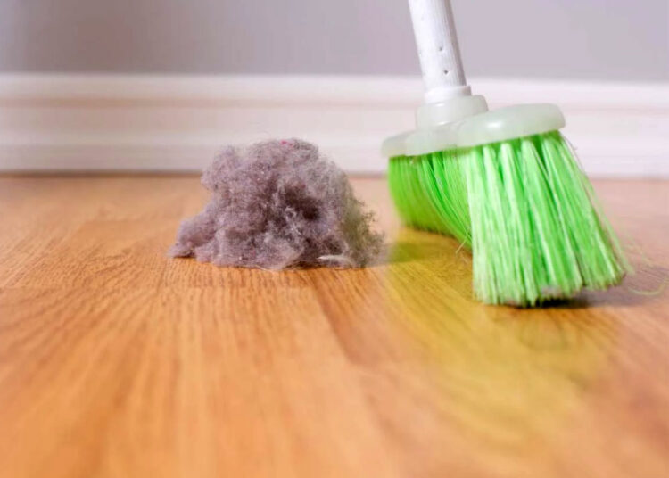 Из чего состоит домашняя пыль: вы будете неприятно удивлены. Фото