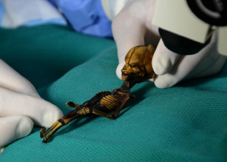 Раскрыта тайна гуманоида ростом 15 см