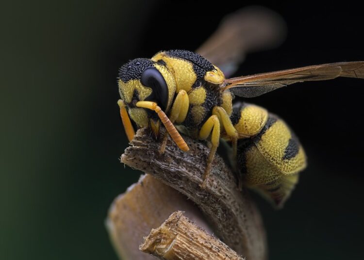 Чуть не умерла: почему летом всегда нужно проверять стакан, из которого пьете
