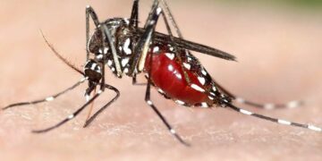 Несущие смерть: животные, которые убивают чаще, чем вирусы