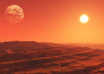 Американский энтомолог нашел на Марсе насекомых и змей. Фото