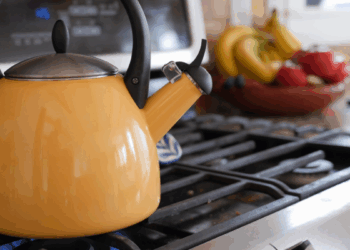 Почему на американских кухнях не найти электрических чайников