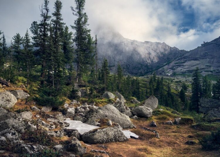 Почему китайцы не смогли расселиться по Сибири раньше русских