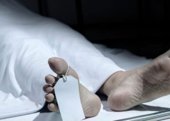 Что будет, когда вы умрете: все события в хронологическом порядке