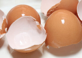 У вас больше рука не поднимется выбросить яичную скорлупу: вот на что она способна