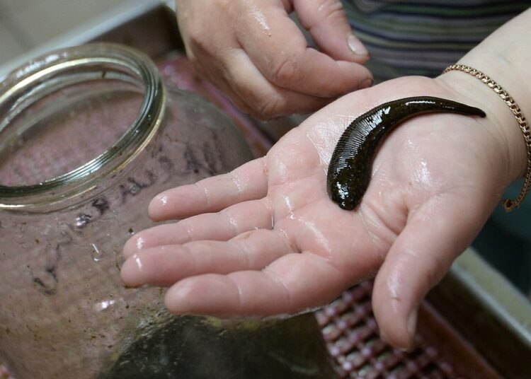 7 пугающих и отвратительных, но неожиданно эффективных медицинских процедур