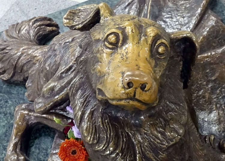 Трагедия бродячего пса, которому поставили памятник в московском метро
